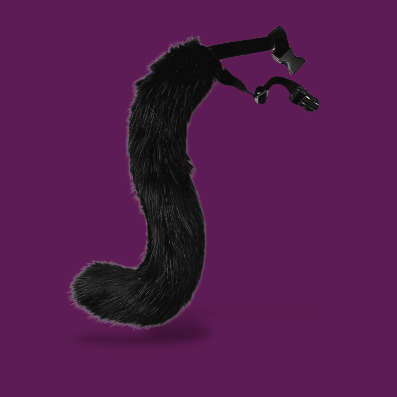Femboy Tail