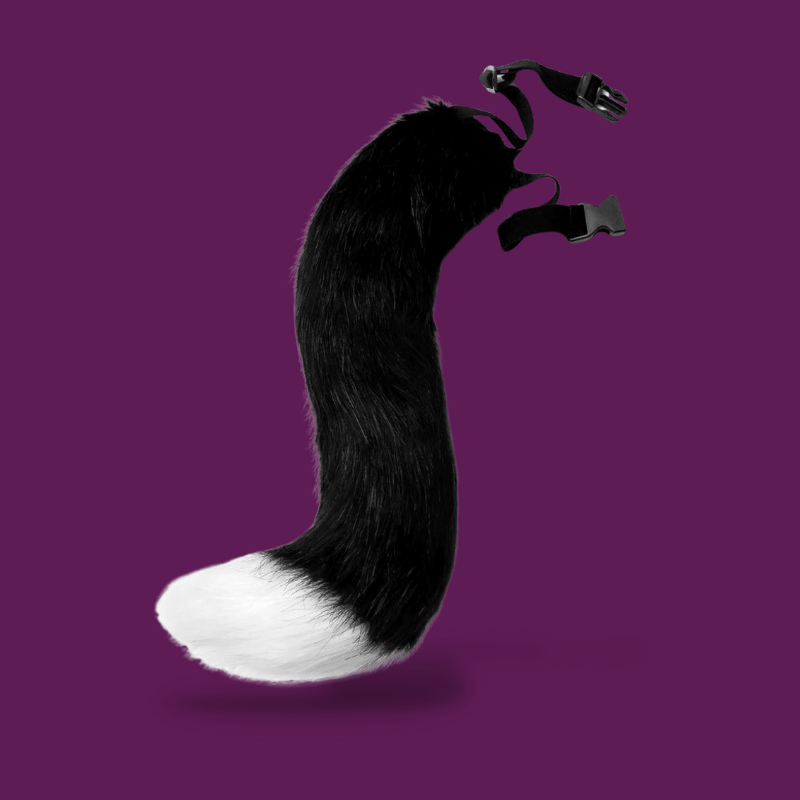 Femboy Tail