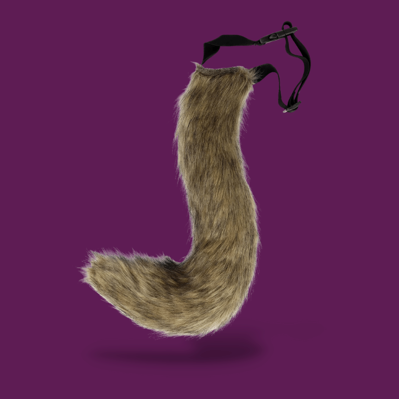 Femboy Tail