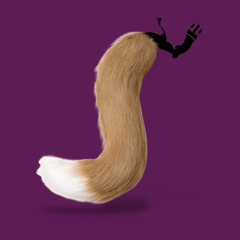 Femboy Tail
