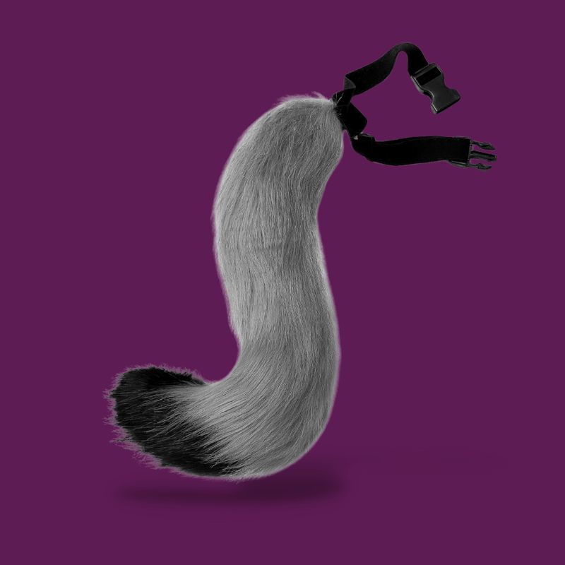 Femboy Tail