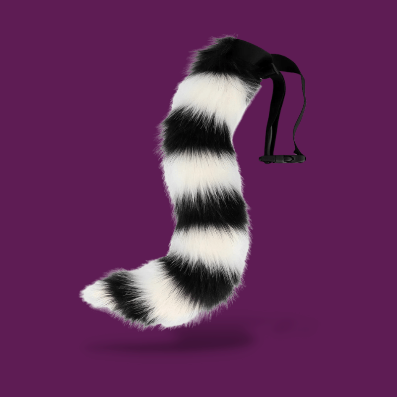 Femboy Tail