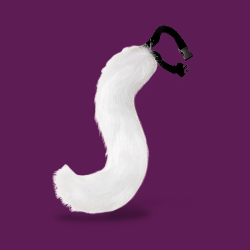 Femboy Tail