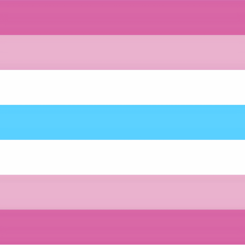 3 Pack - Gay Femboy Banner Flag