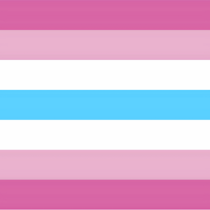 3 Pack - Gay Femboy Banner Flag