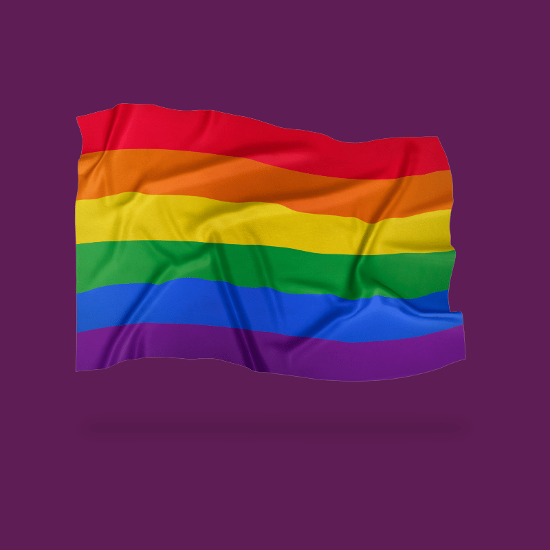 3 Pack - Gay Femboy Banner Flag